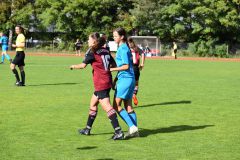 1. FC Nürnberg - VFL Sindelfingen (B1) (08.10.2022)