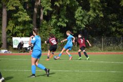 1. FC Nürnberg - VFL Sindelfingen (B1) (08.10.2022)