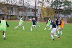 1. FC Nürnberg - VFL Sindelfingen Ladies (B1) (18.11.2023)