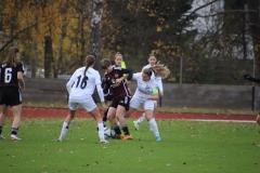 1. FC Nürnberg - VFL Sindelfingen Ladies (B1) (18.11.2023)