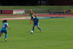 Freundschaftsspiel (F) gg. Hegauer FV (21.07.2019)