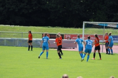 Freundschaftsspiel (F) gg. Hegauer FV (21.07.2019)