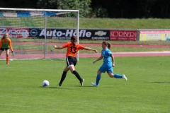 Freundschaftsspiel (F) gg. Hegauer FV (21.07.2019)