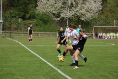 Eintracht Frankfurt - VfL Sindelfingen Ladies (B1) (13.04.2024)