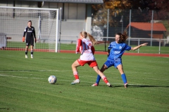 FC Bayern München - VfL Sindelfingen Ladies (B1) (28.10.2023)