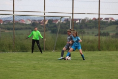 FC Biegelkicker Erdmannhausen - VfL Sindelfingen Ladies (B2) -  (20.05.2023)