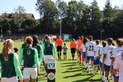 FC Forstern - VFL Sindelfingen (B1) (16.09.2023)