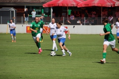 FC Forstern - VFL Sindelfingen (B1) (16.09.2023)