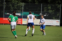 FC Forstern - VFL Sindelfingen (B1) (16.09.2023)