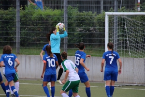 FC Hegnach - VfL Sindelfingen (F2) (09.06.2018)