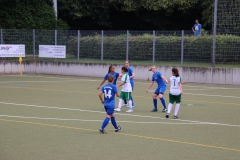 FC Hegnach - VfL Sindelfingen (F2) (09.06.2018)