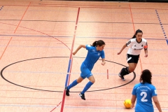 FUTSAL Hallenturnier Schönaich VfL Sindelfingen Ladies (B1+B2) (26.01.2019)