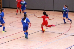 FUTSAL Hallenturnier Schönaich VfL Sindelfingen Ladies (B1+B2) (26.01.2019)