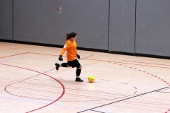 FUTSAL Hallenturnier Schönaich VfL Sindelfingen Ladies (B1+B2) (26.01.2019)