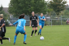 FV Bellenberg - VFL Sindelfingen Ladies (F) (25.09.2022)