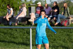 FV Löchgau - VfL Sindelfingen (B1) (11.05.2022)