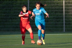 FV Löchgau - VfL Sindelfingen (B1) (11.05.2022)