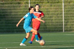 FV Löchgau - VfL Sindelfingen (B1) (11.05.2022)