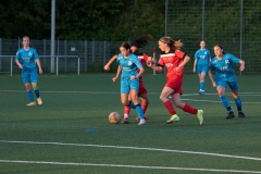 FV Löchgau - VfL Sindelfingen (B1) (11.05.2022)