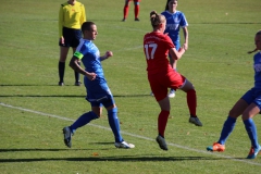 Hegauer FV - VfL Sindelfingen (F1) (01.11.2018)