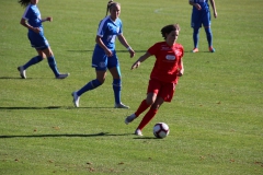 Hegauer FV - VfL Sindelfingen (F1) (01.11.2018)