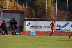 Hegauer FV - VfL Sindelfingen (F1) (01.11.2018)