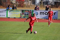 Hegauer FV - VfL Sindelfingen (F1) (01.11.2018)