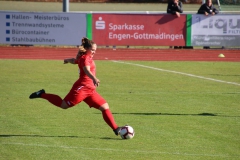 Hegauer FV - VfL Sindelfingen (F1) (01.11.2018)