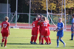 Hegauer FV - VfL Sindelfingen (F1) (01.11.2018)