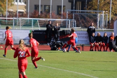 Hegauer FV - VfL Sindelfingen (F1) (01.11.2018)