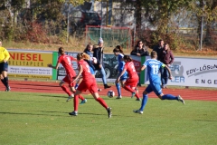 Hegauer FV - VfL Sindelfingen (F1) (01.11.2018)