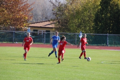 Hegauer FV - VfL Sindelfingen (F1) (01.11.2018)