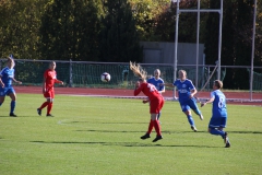 Hegauer FV - VfL Sindelfingen (F1) (01.11.2018)