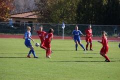 Hegauer FV - VfL Sindelfingen (F1) (01.11.2018)