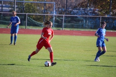 Hegauer FV - VfL Sindelfingen (F1) (01.11.2018)