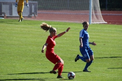 Hegauer FV - VfL Sindelfingen (F1) (01.11.2018)