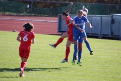 Hegauer FV - VfL Sindelfingen (F1) (01.11.2018)