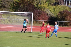 Hegauer FV - VfL Sindelfingen (F1) (01.11.2018)