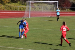 Hegauer FV - VfL Sindelfingen (F1) (01.11.2018)