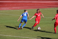 Hegauer FV - VfL Sindelfingen (F1) (01.11.2018)