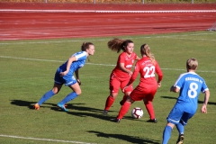 Hegauer FV - VfL Sindelfingen (F1) (01.11.2018)