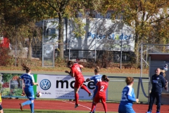 Hegauer FV - VfL Sindelfingen (F1) (01.11.2018)