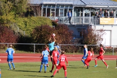 Hegauer FV - VfL Sindelfingen (F1) (01.11.2018)