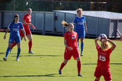 Hegauer FV - VfL Sindelfingen (F1) (01.11.2018)