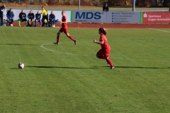 Hegauer FV - VfL Sindelfingen (F1) (01.11.2018)