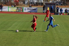 Hegauer FV - VfL Sindelfingen (F1) (01.11.2018)