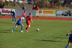 Hegauer FV - VfL Sindelfingen (F1) (01.11.2018)