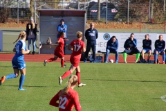 Hegauer FV - VfL Sindelfingen (F1) (01.11.2018)