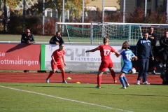 Hegauer FV - VfL Sindelfingen (F1) (01.11.2018)