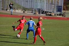 Hegauer FV - VfL Sindelfingen (F1) (01.11.2018)